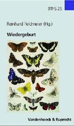 Biblisch-theologische Schwerpunkte