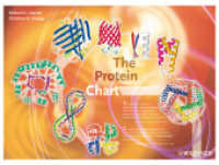 The Protein Chart （2007. 6 p.）