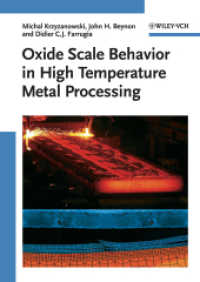 高温金属加工時の酸化物スケールの挙動<br>Oxide Scale Behavior in High Temperature Metal Processing （2010. 275 p. 24 cm）