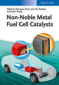 非貴金属燃料電池触媒<br>Non-Noble Metal Fuel Cell Catalysts （1. Auflage. 2014. 448 S. m.  SW-Abb. 244 mm）