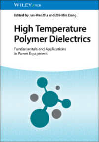 High Temperature Polymer Dielectrics : Fundamentals and Applications in Power Equipment （1. Auflage. 2023. 400 S. 1 SW-Abb., 4 Farbabb. 244 mm）