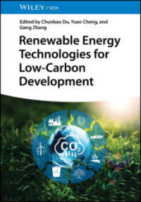 Renewable Energy Technologies for Low-Carbon Development （1. Auflage. 2025. 336 S. 11 Farbabb. 244 mm）