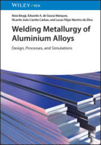 Welding Metallurgy of Aluminium Alloys : Design, Processes and Simulations （1. Auflage. 2025. 192 S. 100 SW-Abb., 50 Farbabb. 244 mm）