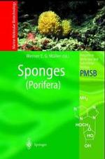 Sponges (Porifera) (Progress in Molecular and Subcellular Biology) （2003. 260 p. w. 93 figs. (44 col.).）