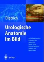 Urologische Anatomie Im Bild : Von Der K Nstlerisch-Anatomischen Abbildung Zu Den Ersten Operationen