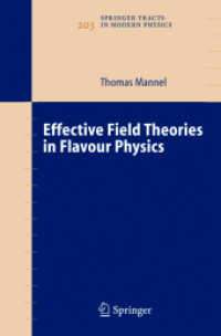 Effective Field Theories in Flavour Physics (Springer Tracts in Modern Physics Vol.203) （2004. 200 p. w. 100 figs.）