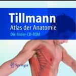Atlas Der Anatomie : Die Bilder-CD-Rom