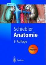 Anatomie : Histologie, Entwicklungsgeschichte, Makroskopische Und Mikroskopische Anatomie, Topographie