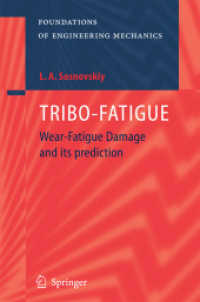 Tribo-Fatigue : Wear Fatigue and Reliability (Foundations of Engineering Mechanics) （2004. 480 p.）