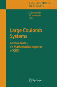 Large Coulomb Systems : Lecture Notes on Mathematical Aspects of QED (Lecture Notes in Physics)