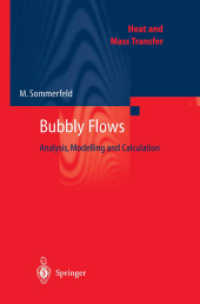 Bubbly Flows : Analysis, Modelling and Calculation (Heat and Mass Transfer) （2004. 300 p.）