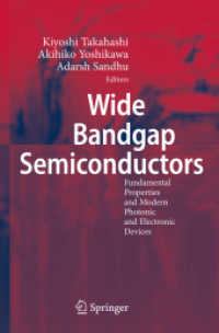 Wide Bandgap Semiconductors and Related Optoelectronic Devices