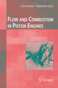 Flow and Combustion in Reciprocating Engines (Experimental Fluid Mechanics)