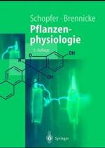 Pflanzenphysiologie (Springer-lehrbuch) （5TH）