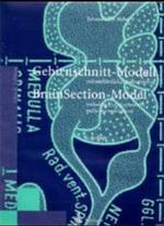Gehirnschnitt-modell / Brainsection-model : Mit Ausfuhrlicher Bauanleitung / Including a Comprehensive Guide to Construction （9TH）