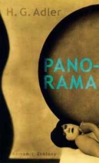 Panorama : Roman. Nachw. v. Jeremy Adler （2010. 592 S. 211 mm）