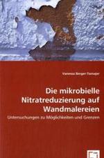 Die mikrobielle Nitratreduzierung auf Wandmalereien : Untersuchungen zu Möglichkeiten und Grenzen （2008. 168 S. 220 mm）