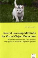 Neural Learning Methods for Visual Object Detection - Brain-like Principles for Environment Perception in Artificial Cognitive Systems