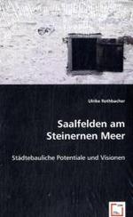 Saalfelden am Steinernen Meer : Städtebauliche Potentiale und Visionen （2008. 108 S. 220 mm）