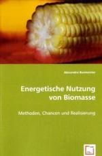 Energetische Nutzung von Biomasse : Methoden, Chancen und Realisierung （2008. 140 S. 220 mm）