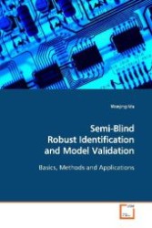 Semi-Blind Robust Identification and Model Validation : Basics, Methods and Applications （2008. 108 S. 220 mm）