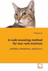 A rank-revealing method for low rank matrices : Updating, downdating, applications （2009. 56 S. 220 mm）