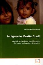 Indigene in Mexiko Stadt : Identitätsentwicklung von Migranten der ersten und zweiten Generation （2009. 164 S.）
