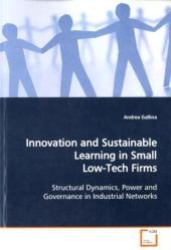 Innovation and Sustainable Learning in Small Low-Tech Firms : Structural Dynamics, Power and Governance in Industrial Networks （2009. 160 S.）