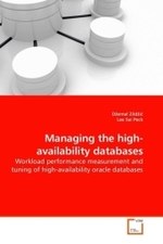 Managing the high-availability databases : Workload performance measurement and tuning of high-availability oracle databases （2009. 104 S.）