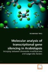 Molecular analysis of transcriptional gene silencing in Arabidopsis : Interplay between chromatin modifications and epigenetic factors （2010. 116 S. 220 mm）