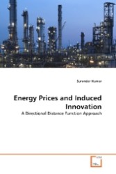 Energy Prices and Induced Innovation : A Directional Distance Function Approach （2010. 84 S. 220 mm）