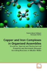 Copper and Iron Complexes in Organised Assemblies : Structures, Spectral and Electrochemical Properties and Biomimetic Dioxygen Activating Reactions in Micellar Media （2010. 280 S. 220 mm）