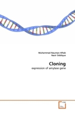 Cloning : expression of amylase gene （2010. 80 S.）