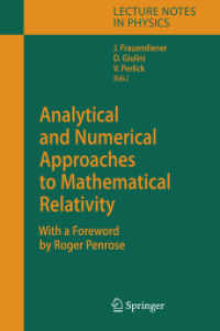 Analytical and Numerical Approaches to Mathematical Relativity (Lecture Notes in Physics)