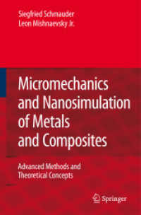 Micromechanics and Nanosimulation of Metals and Composites : Advanced Methods and Theoretical Concepts