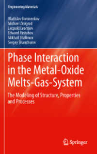 Phase Interaction in the Metal - Oxide Melts - Gas -System : The Modeling of Structure, Properties and Processes (Engineering Materials)