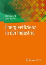 Energieeffizienz in Der Industrie （2013）