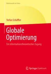 Globale Optimierung : Ein informationstheoretischer Zugang (Mathematik im Fokus)