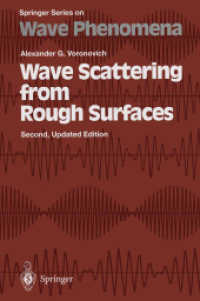 Wave Scattering from Rough Surfaces (Springer Series on Wave Phenomena) 〈17〉 （2ND）