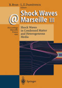 Shock Waves @ Marseille III : Shock Waves in Condensed Matter and Heterogeneous Media （2012. ix, 485 S. IX, 485 p. 242 mm）