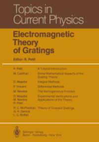 Electromagnetic Theory of Gratings (Topics in Current Physics) 〈22〉