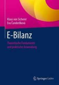 E-Bilanz : Theoretische Fundamente und praktische Anwendung