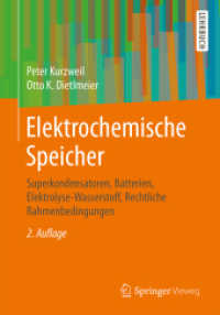 Elektrochemische Speicher : Superkondensatoren, Batterien, Elektrolyse-Wasserstoff, Rechtliche Rahmenbedingungen （2ND）