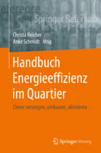 Handbuch Energieeffizienz im Quartier : Clever versorgen, umbauen, aktivieren (Handbuch Energieeffizienz im Quartier)