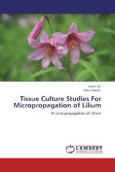 Tissue Culture Studies For Micropropagation of Lilium : In vitro propagation of Lilium （Aufl. 2012. 124 S. 220 mm）