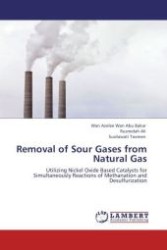 Removal of Sour Gases from Natural Gas : Utilizing Nickel Oxide Based Catalysts for Simultaneously Reactions of Methanation and Desulfurization （Aufl. 2012. 132 S.）