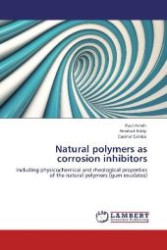 Natural polymers as corrosion inhibitors : including physicochemical and rheological properties of the natural polymers (gum exudates) （Aufl. 2012. 196 S. 220 mm）