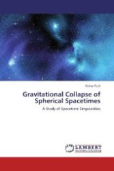 Gravitational Collapse of Spherical Spacetimes : A Study of Spacetime Singularities （Aufl. 2012. 172 S. 220 mm）