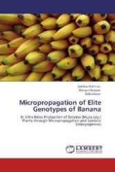 Micropropagation of Elite Genotypes of Banana : In Vitro Mass Production of Banana (Musa spp.) Plants through Micropropagation and Somatic Embryogenesis （Aufl. 2012. 164 S. 220 mm）