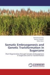 Somatic Embryogenesis and Genetic Transformation in Sugarcane : Plant Regeneration through Somatic Embryogenesis in Sugarcane and its Transformation （Aufl. 2012. 164 S.）